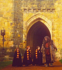 harry potter